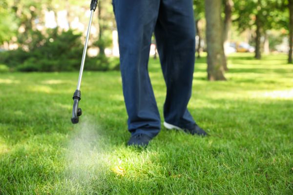 Roswell Lawn Treatment