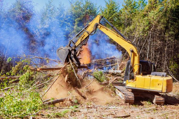Roswell Land Clearing