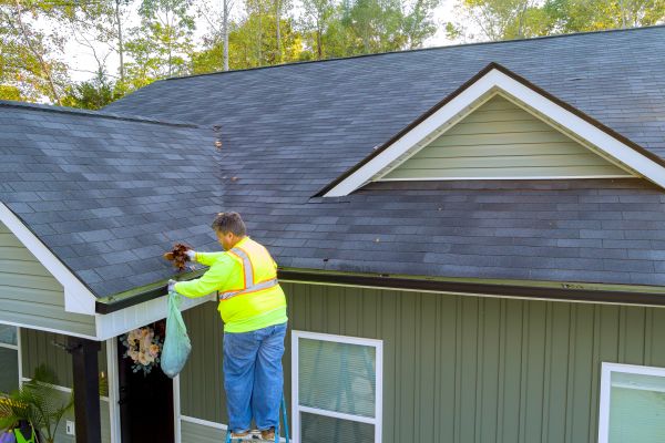 Roswell Gutter Covers Service