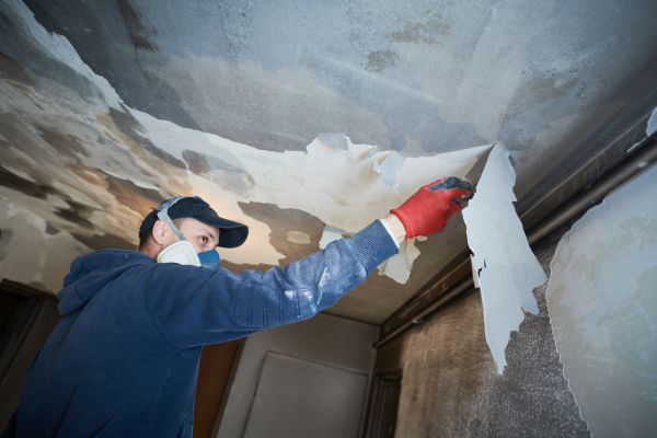 Roswell Fire Restoration